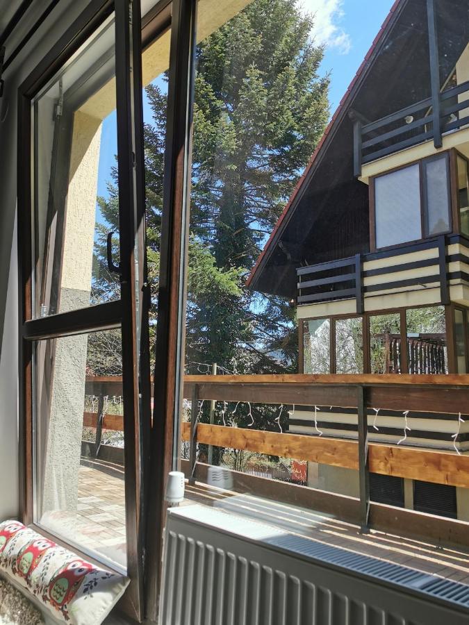 Apartament Kalinderu K2 Buşteni Exteriér fotografie