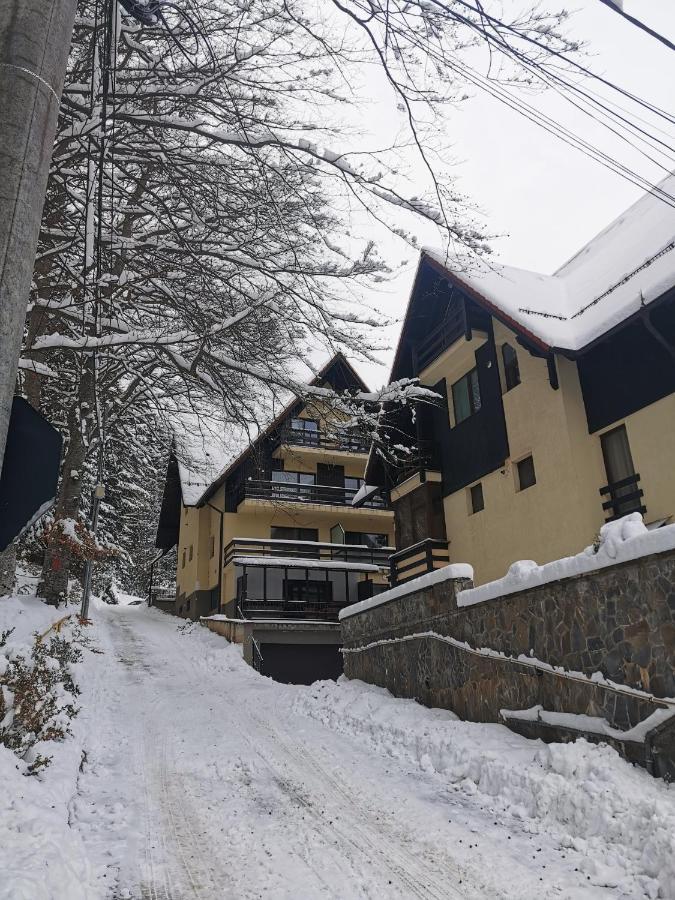 Apartament Kalinderu K2 Buşteni Exteriér fotografie