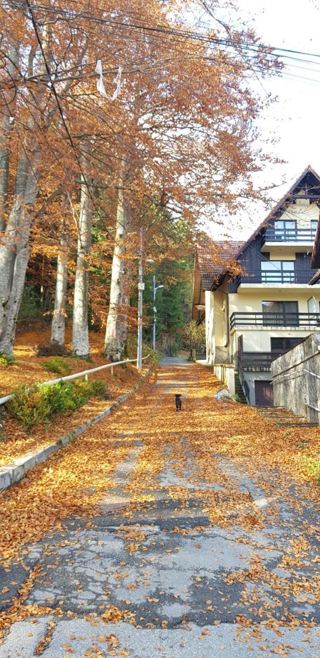 Apartament Kalinderu K2 Buşteni Exteriér fotografie