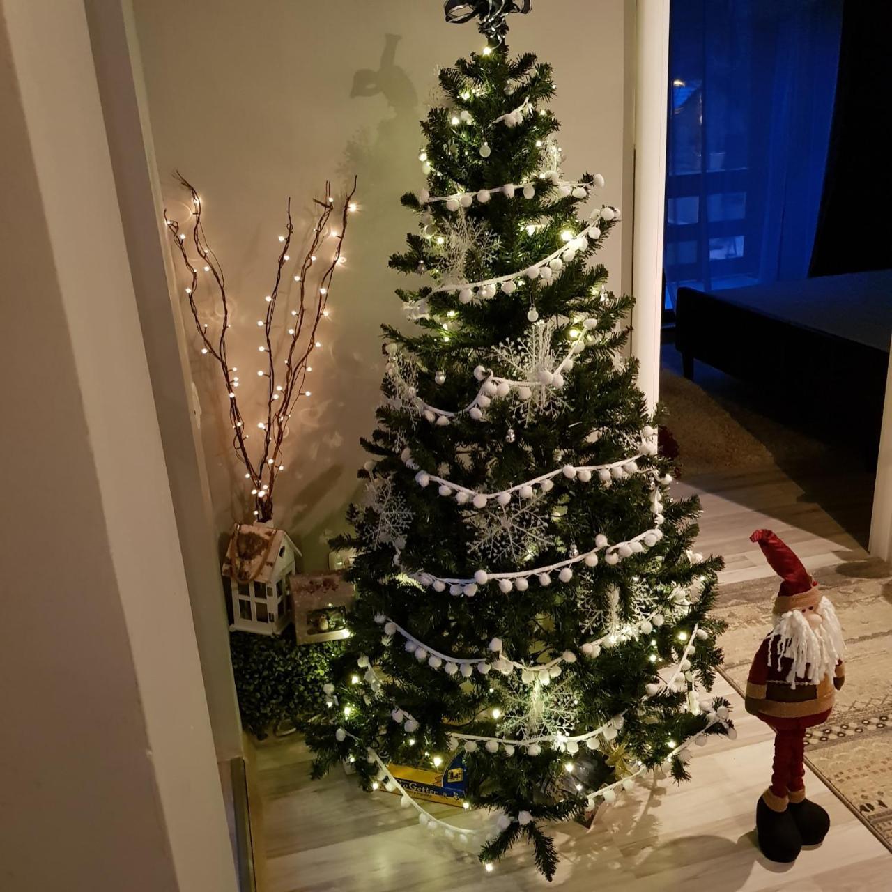 Apartament Kalinderu K2 Buşteni Exteriér fotografie